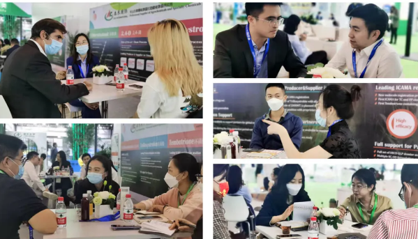 𾢼ACEչ2021ACE칩Ӧ