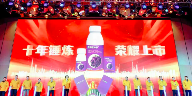 1768729172704048.png image.png